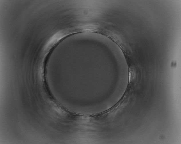 X0000102040339200808081840