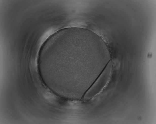 X0000102040340200808081840