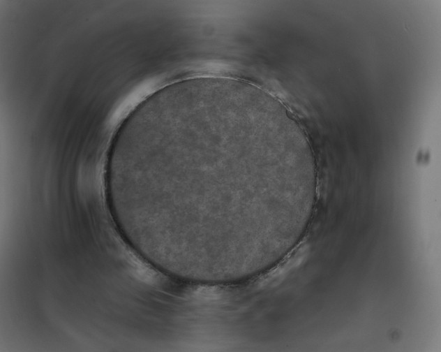 X0000102040341200808081840