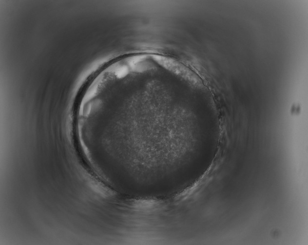 X0000102040342200808081840