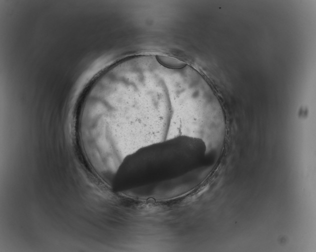 X0000102040343200808081840