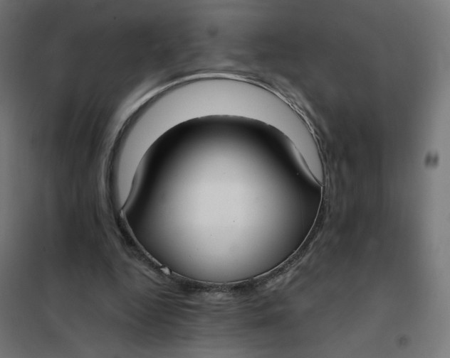 X0000102040344200808081840