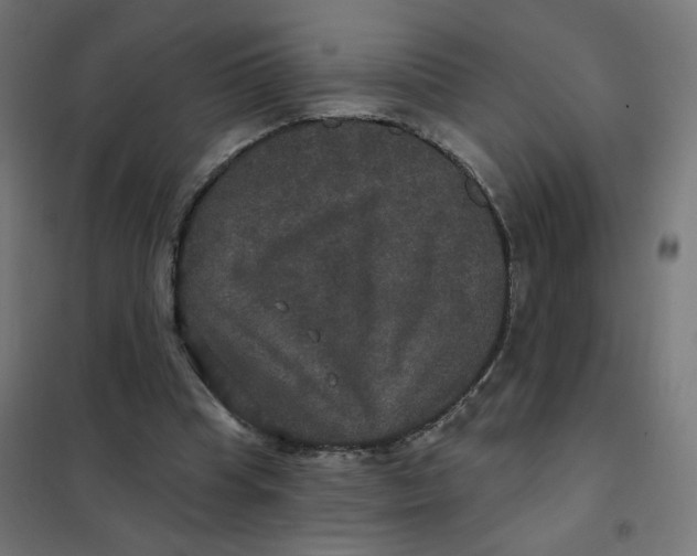 X0000102040345200808081840