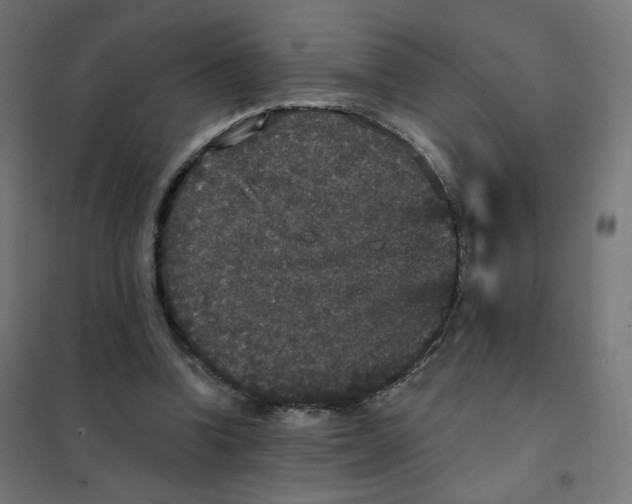 X0000102040346200808081840