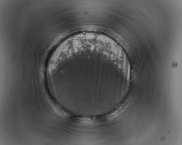 X0000102040347200808081840