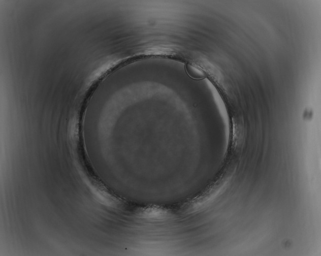 X0000102040348200808081840