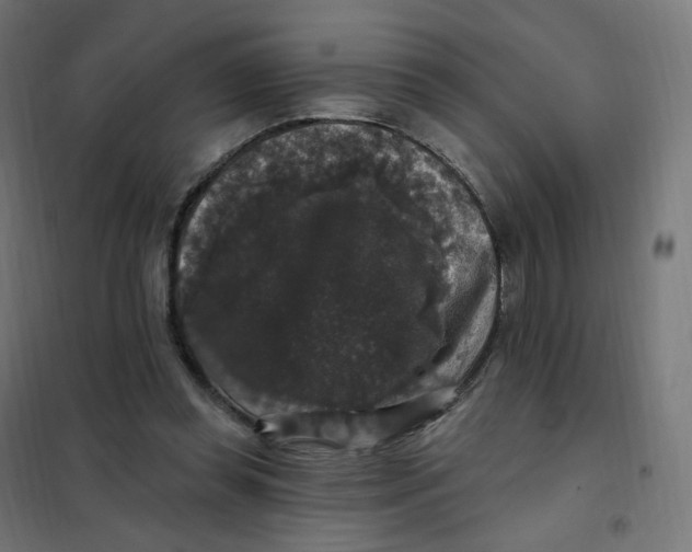 X0000102040349200808081840