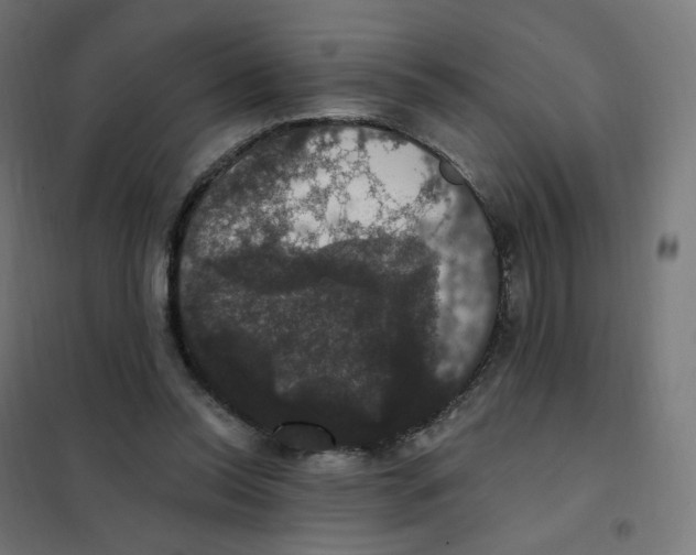 X0000102040350200808081840