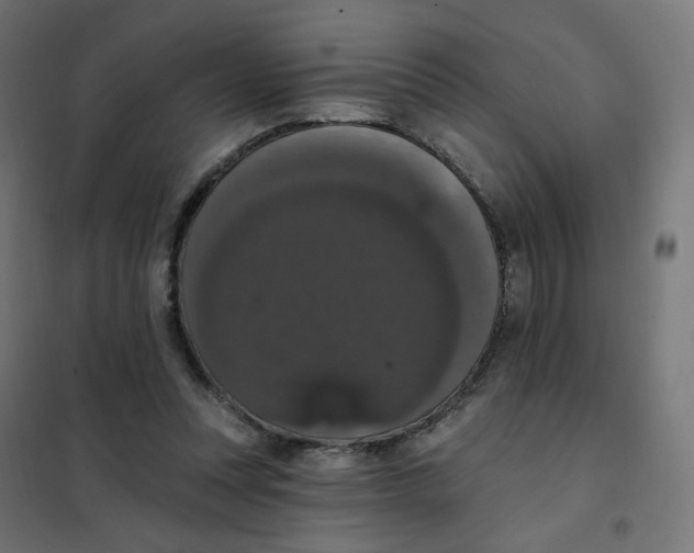 X0000102040351200808081840