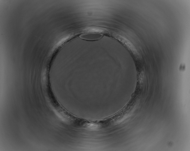 X0000102040352200808081840