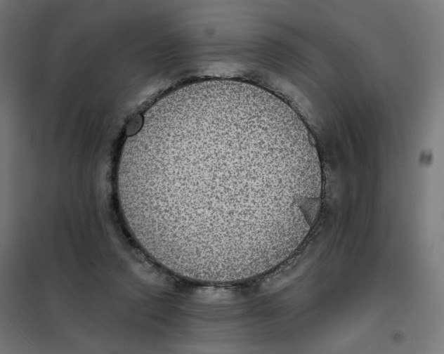 X0000102040354200808081840