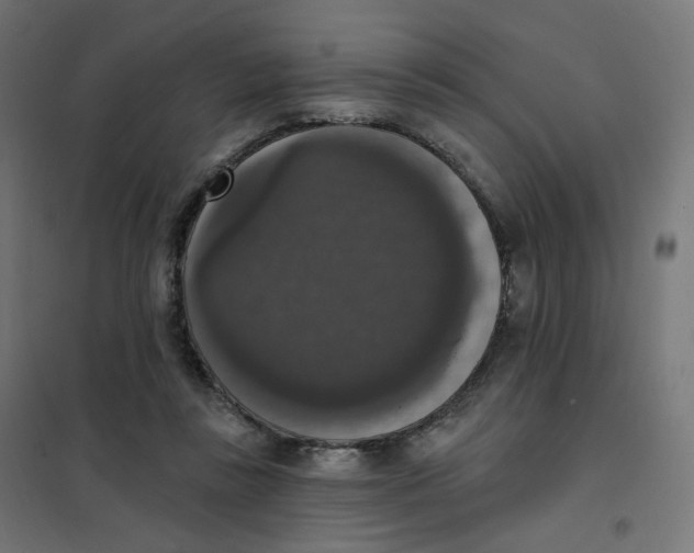 X0000102040355200808081840