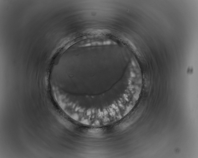 X0000102040357200808081840