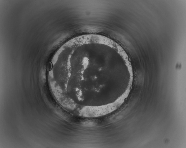 X0000102040358200808081840