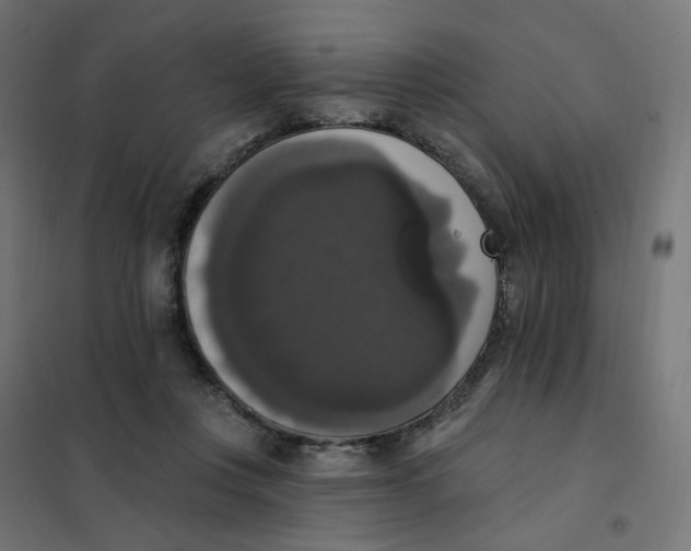 X0000102040359200808081840