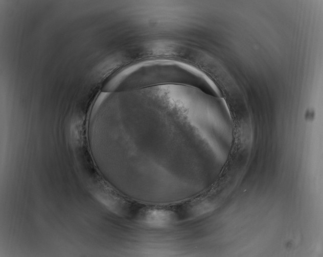 X0000102040360200808081840