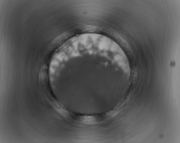 X0000102040361200808081840