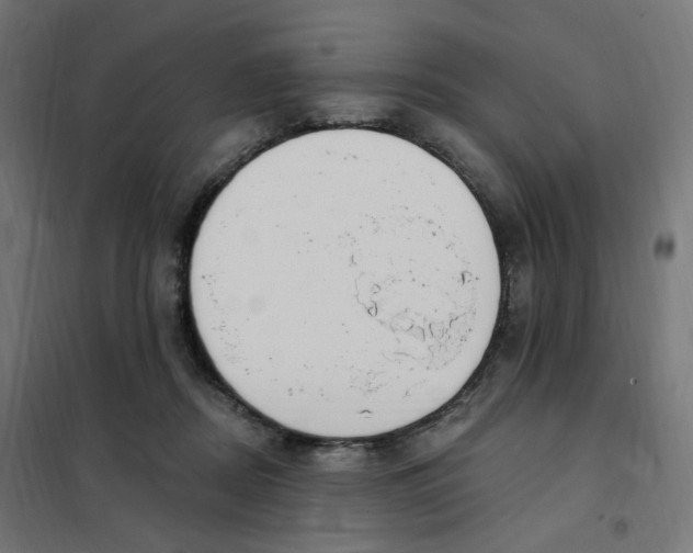 X0000102040362200808081840