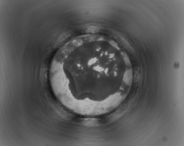 X0000102040363200808081840