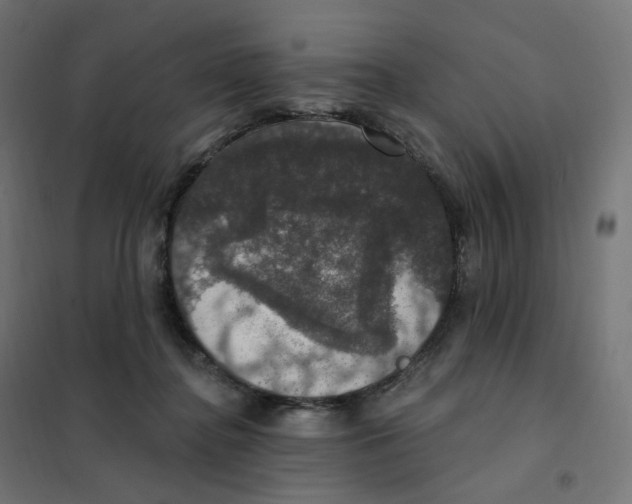 X0000102040364200808081840