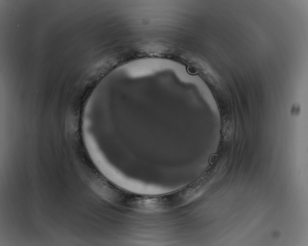 X0000102040365200808081840