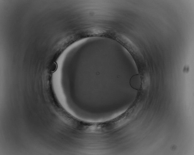 X0000102040366200808081840