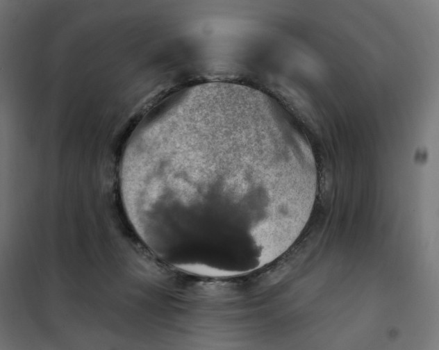 X0000102040367200808081840