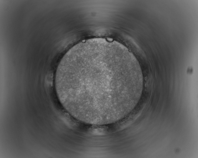 X0000102040368200808081840