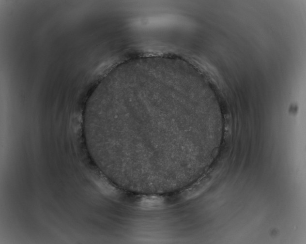 X0000102040369200808081840