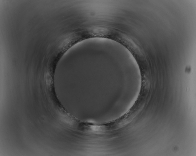 X0000102040371200808081840