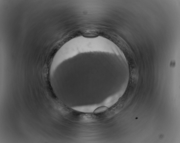 X0000102040372200808081840