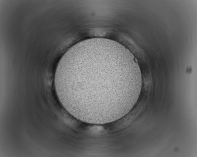 X0000102040374200808081840