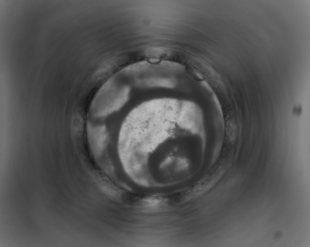 X0000102040375200808081840