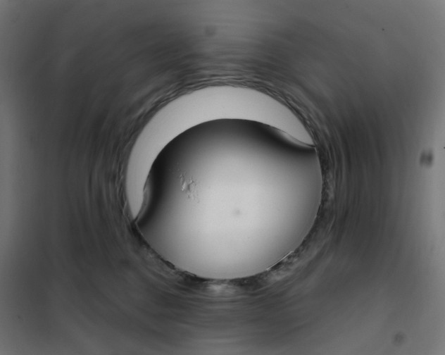 X0000102040376200808081840