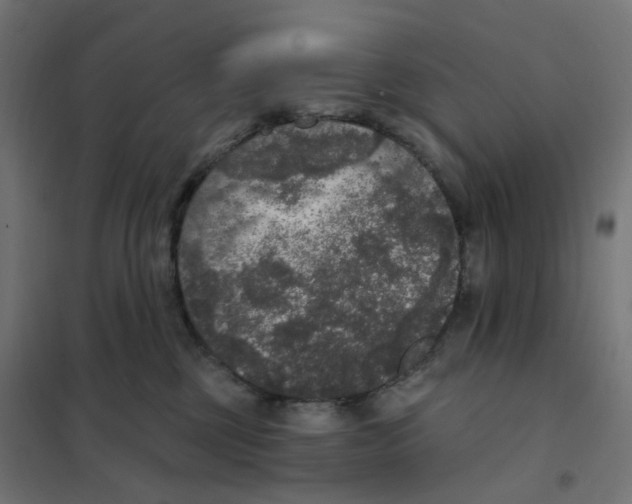 X0000102040377200808081840