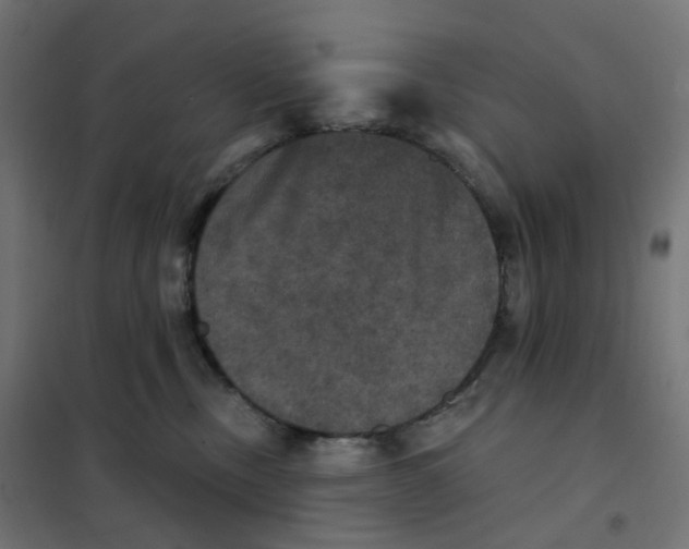 X0000102040378200808081840