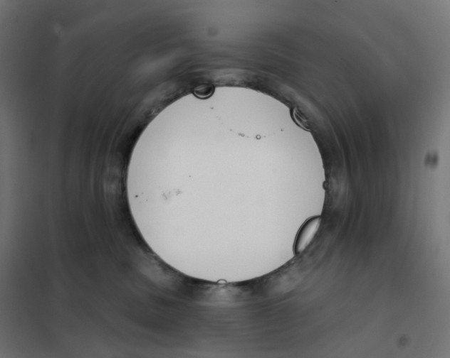 X0000102040379200808081840