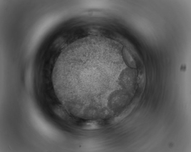 X0000102040381200808081840