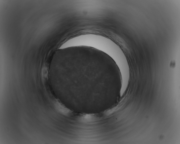 X0000102040382200808081840