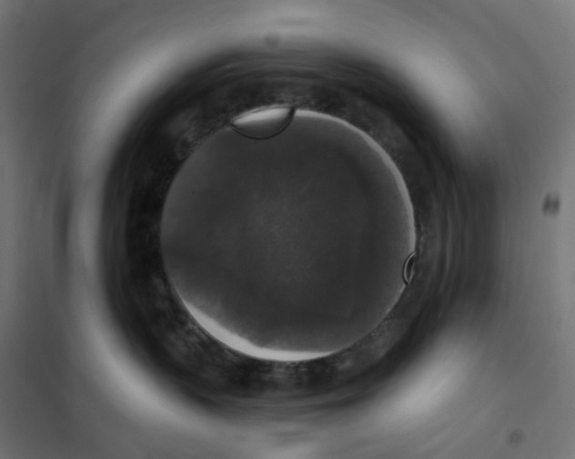 X0000102040383200808081840