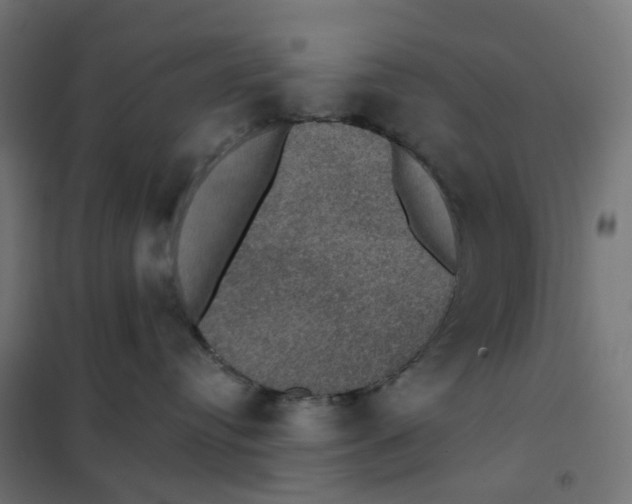 X0000102040384200808081840