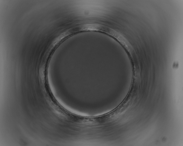 X0000102040386200808081840