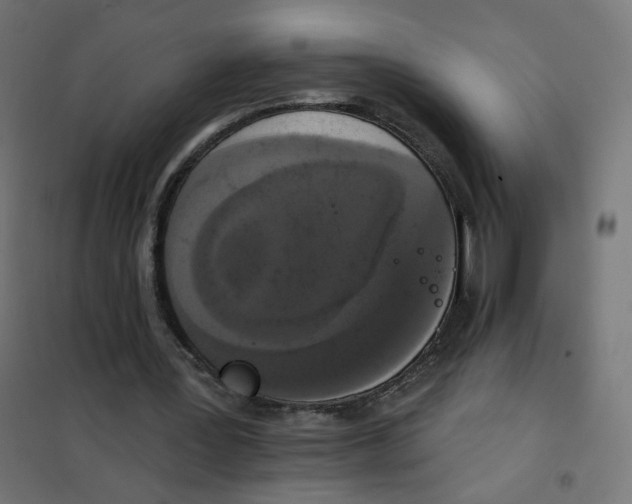 X0000102040387200808081840