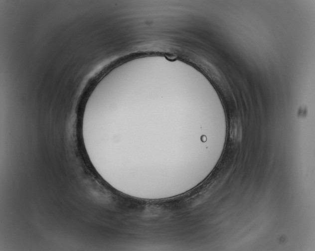 X0000102040388200808081840