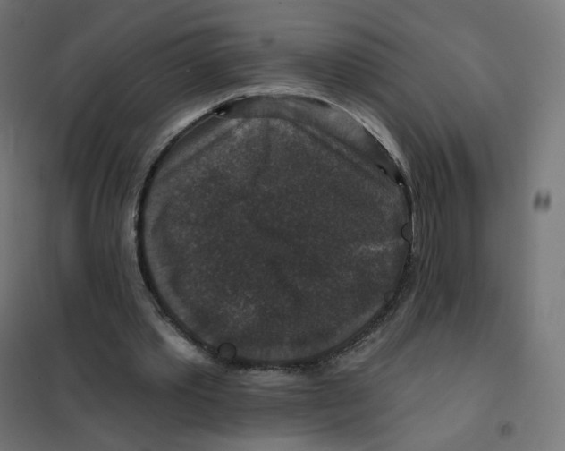 X0000102040389200808081840