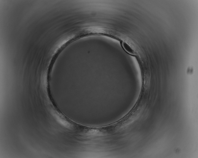 X0000102040390200808081840