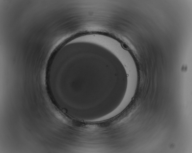 X0000102040391200808081840