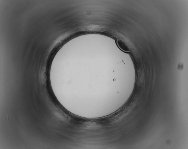 X0000102040392200808081840