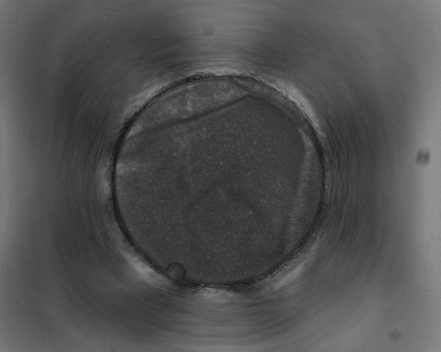 X0000102040393200808081840