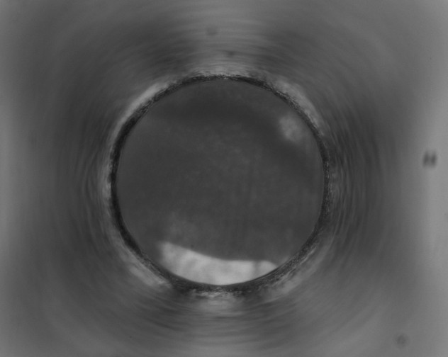 X0000102040395200808081840